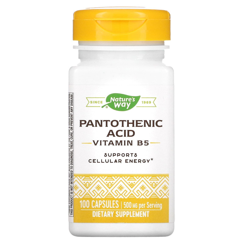 Nature's Way, Pantothenic Acid, 250 mg, 100 Capsules